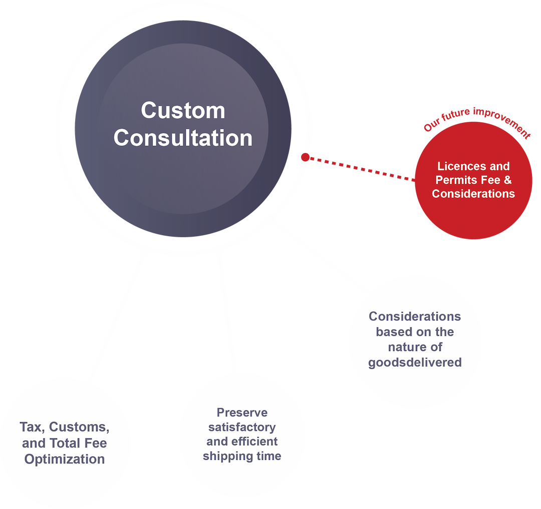 Custom Consultation